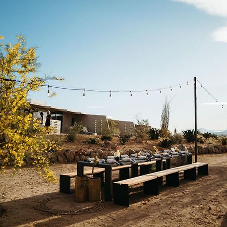 The Bungalows By Homestead Modern Joshua Tree Eksteriør billede
