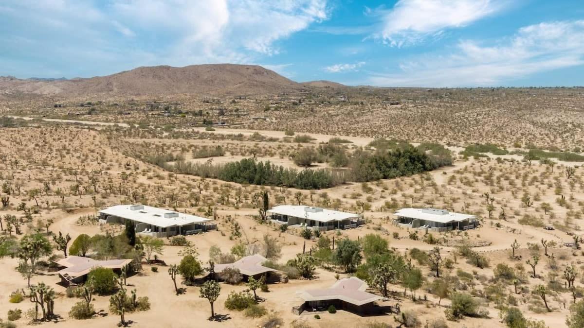 The Bungalows By Homestead Modern Joshua Tree Eksteriør billede