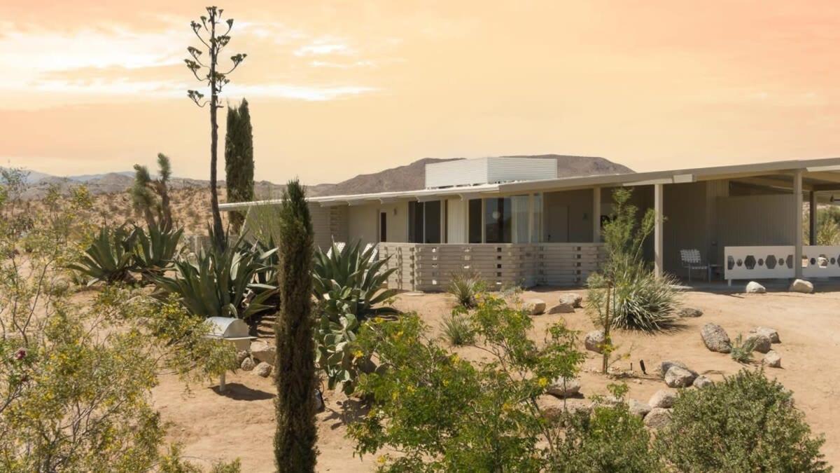 The Bungalows By Homestead Modern Joshua Tree Eksteriør billede