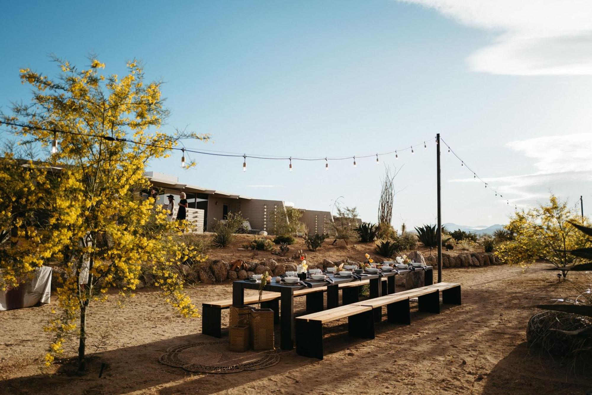 The Bungalows By Homestead Modern Joshua Tree Eksteriør billede