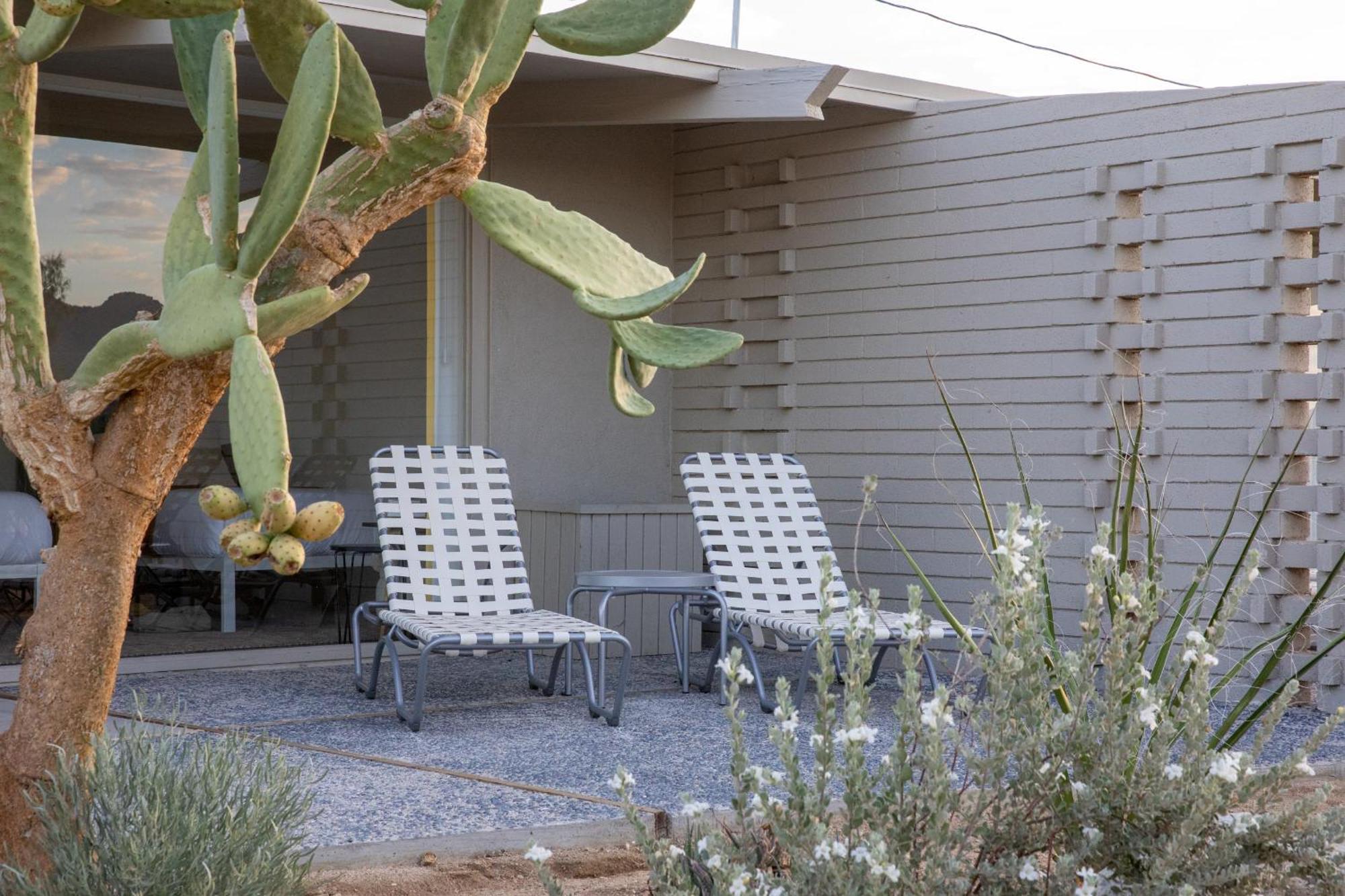 The Bungalows By Homestead Modern Joshua Tree Værelse billede